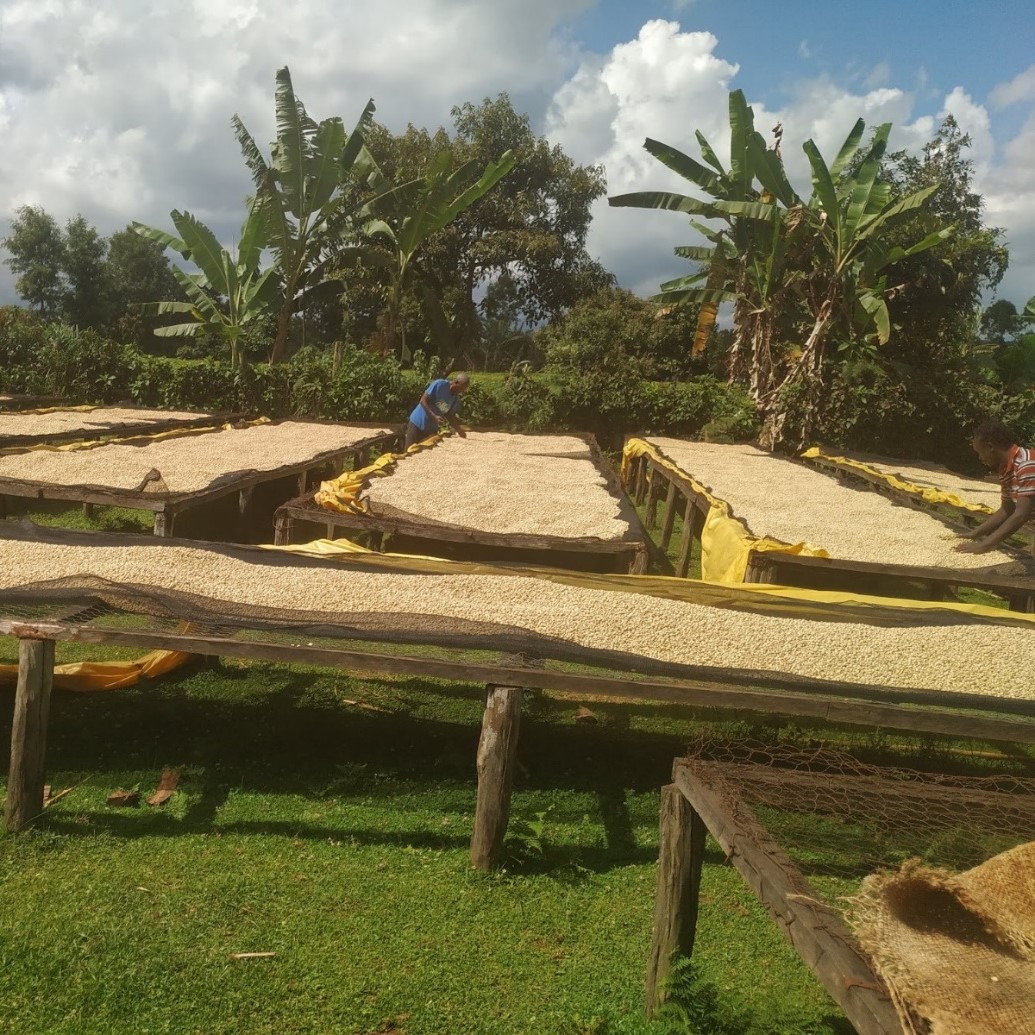 Kenya