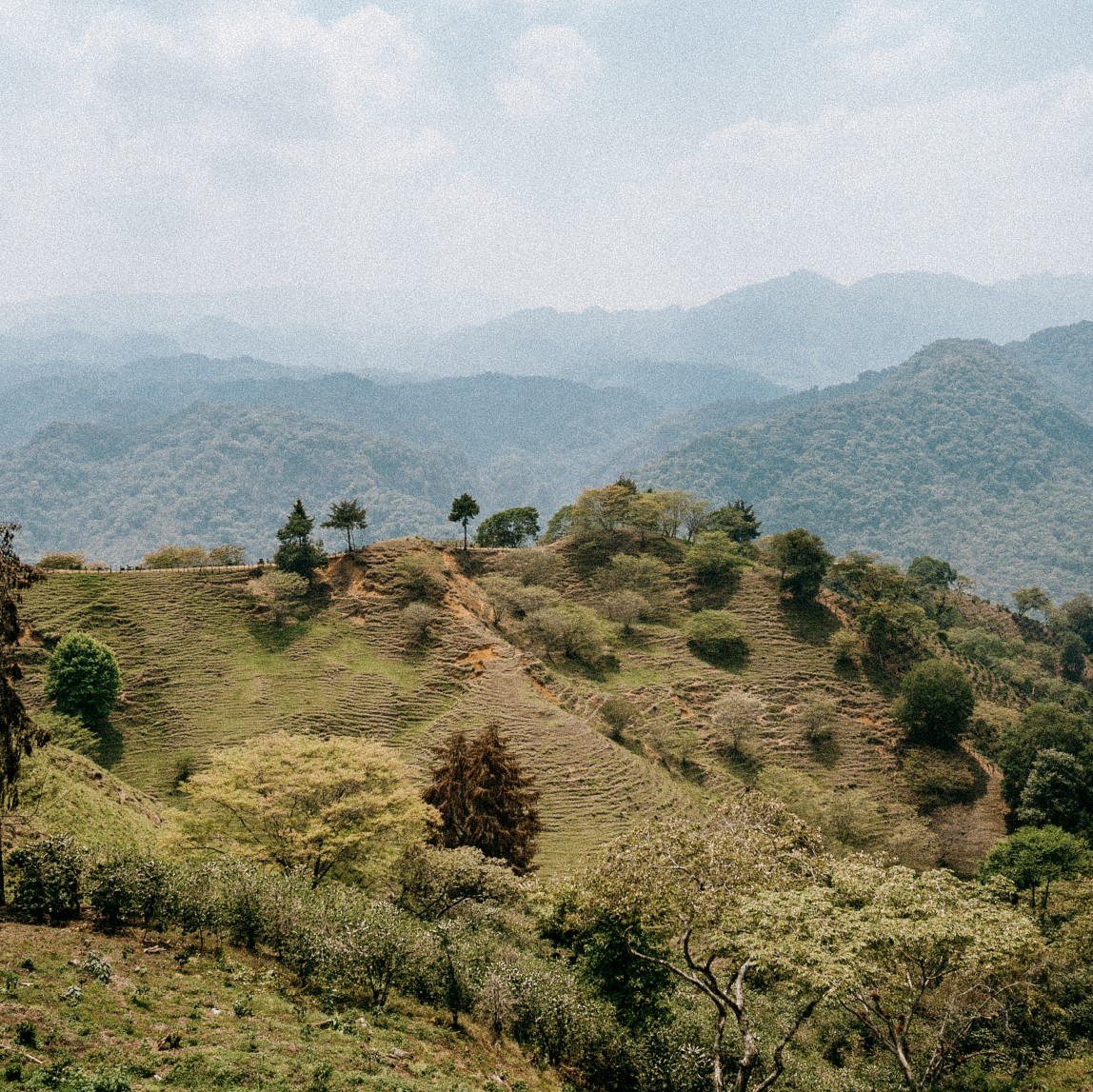 Mexico farm