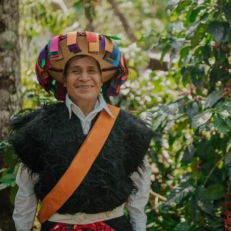 Mexiko Tanejapa