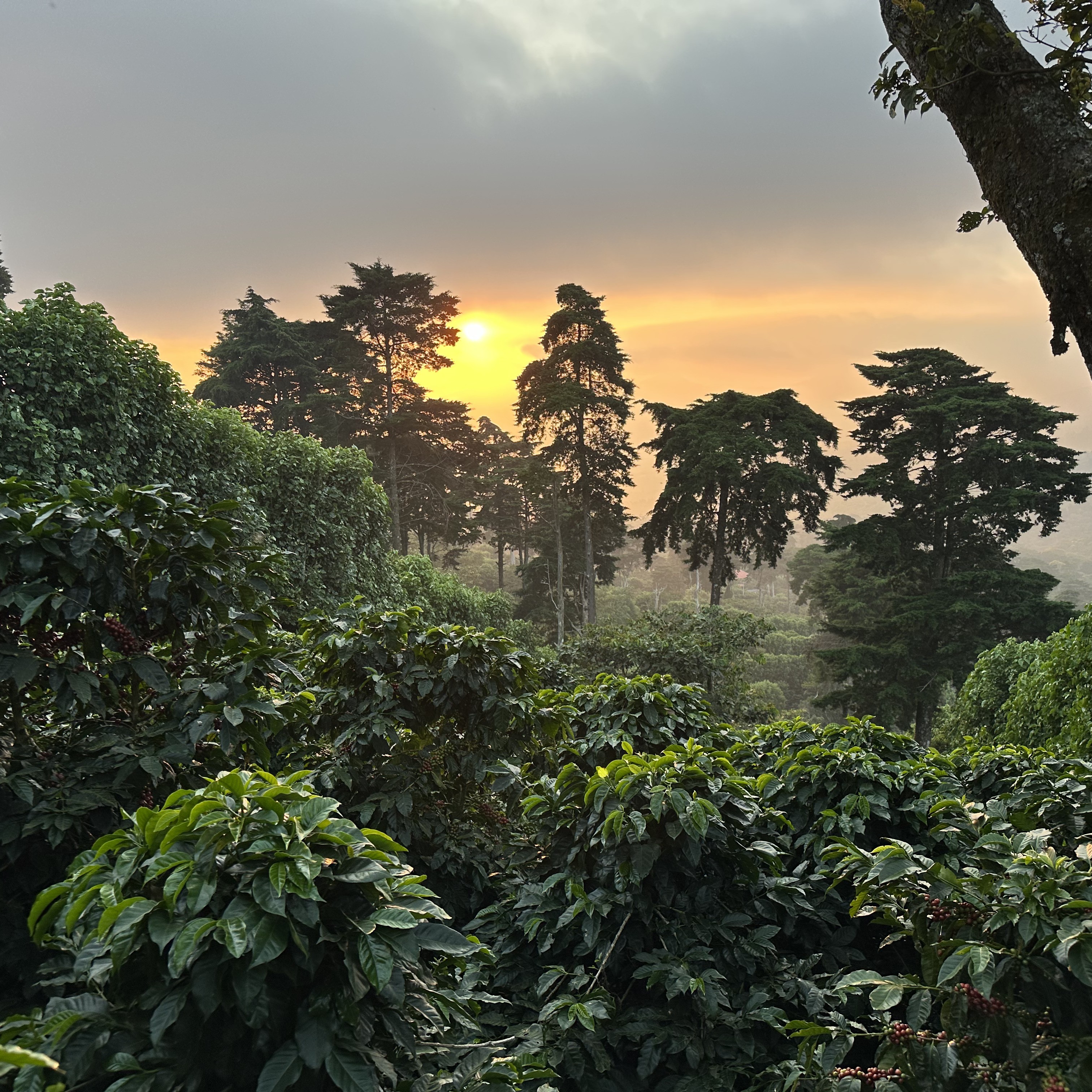 El Salvador