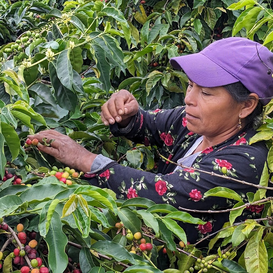 Ecuador Juan Peña