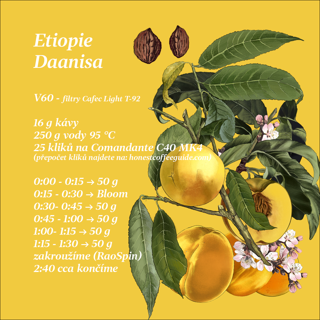 etiopie daanisa recept V60
