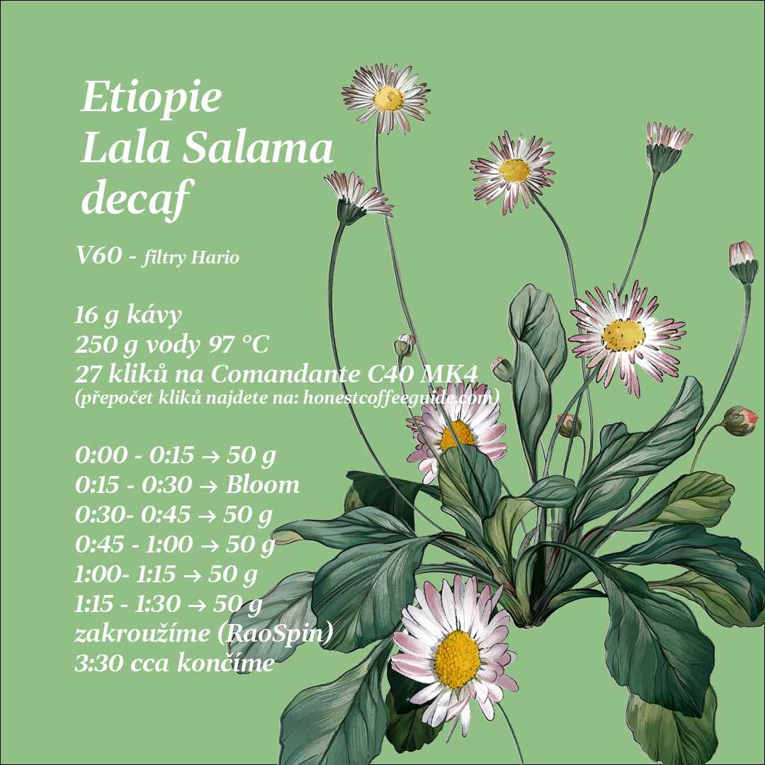 etiopie lala salama recept na V60