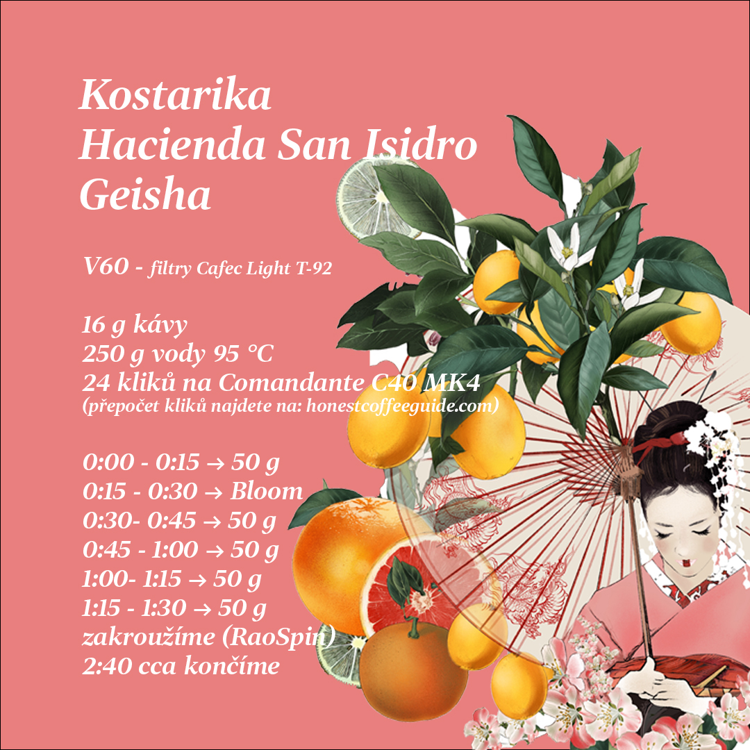 kostarika_geisha recept na V60
