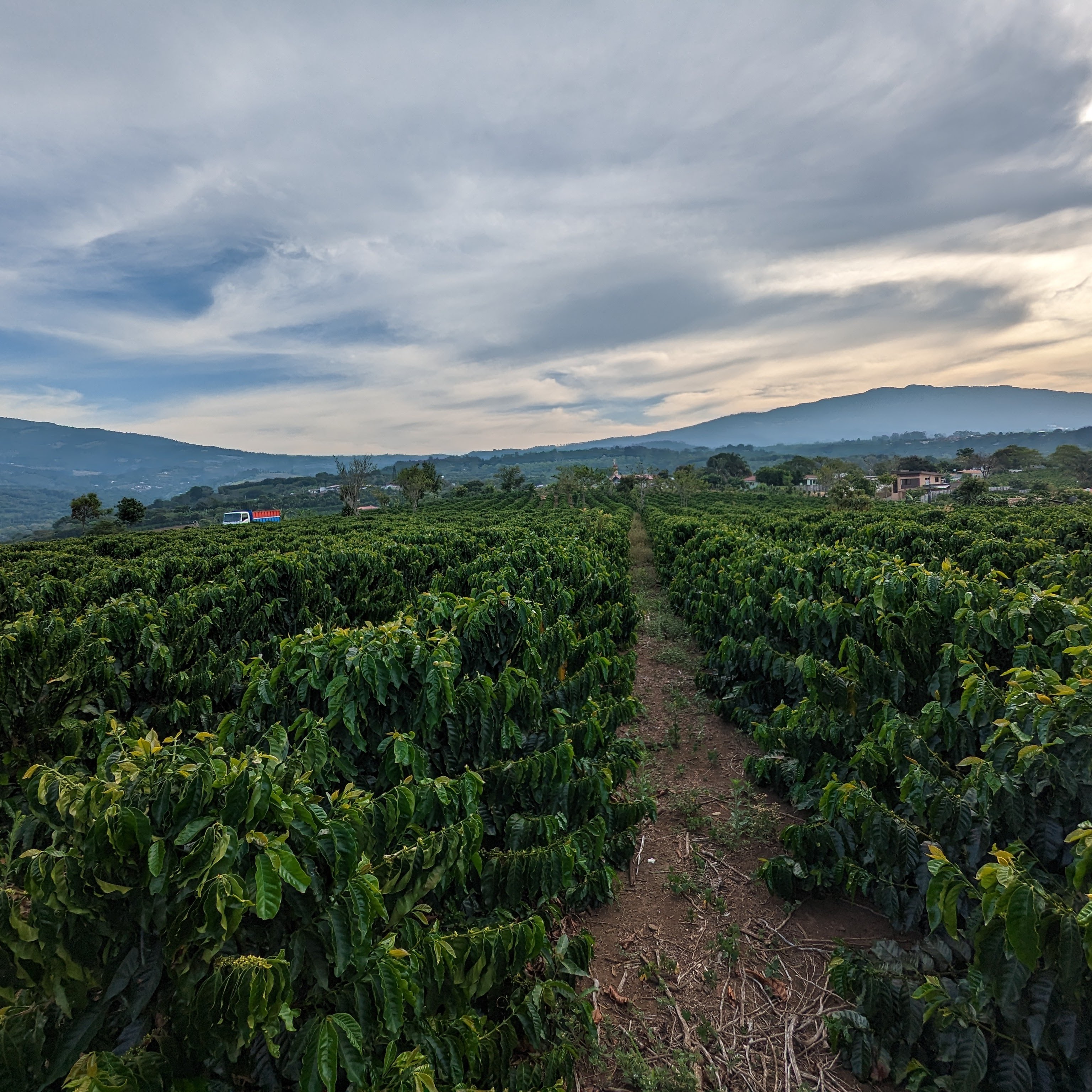 Finca Las Lajas
