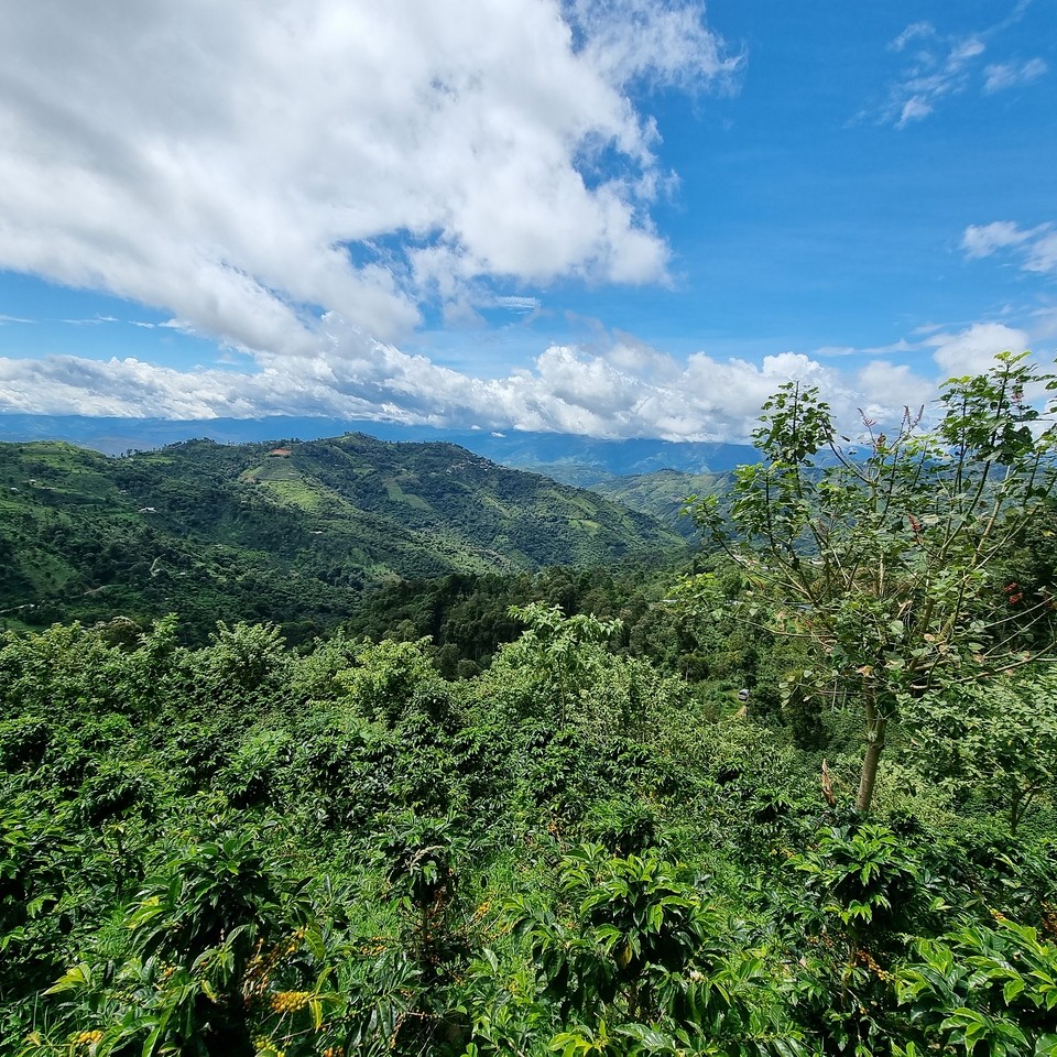 Peru