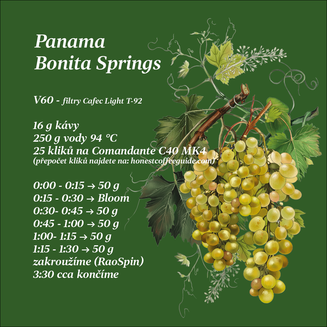 Panama Bonita
