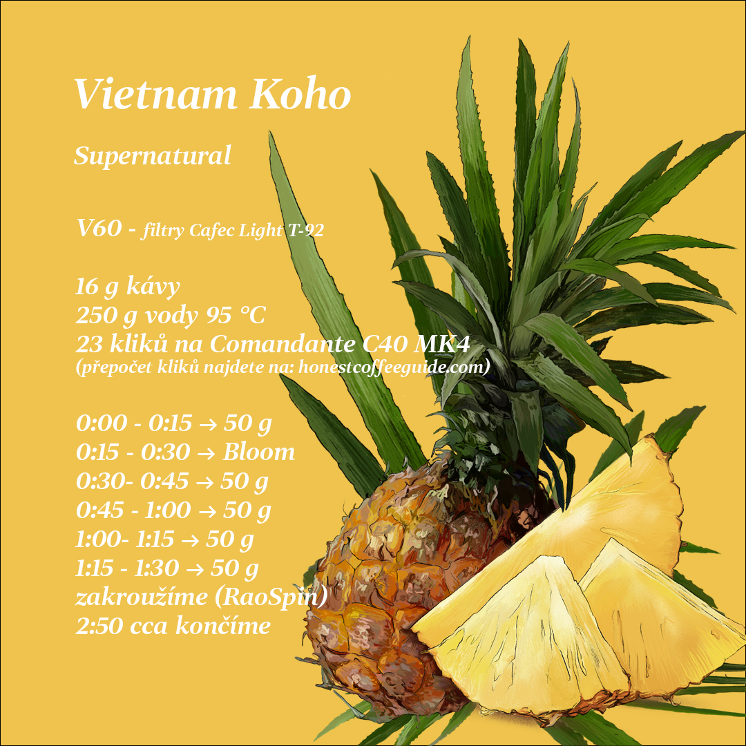 Vietnam Koho V60