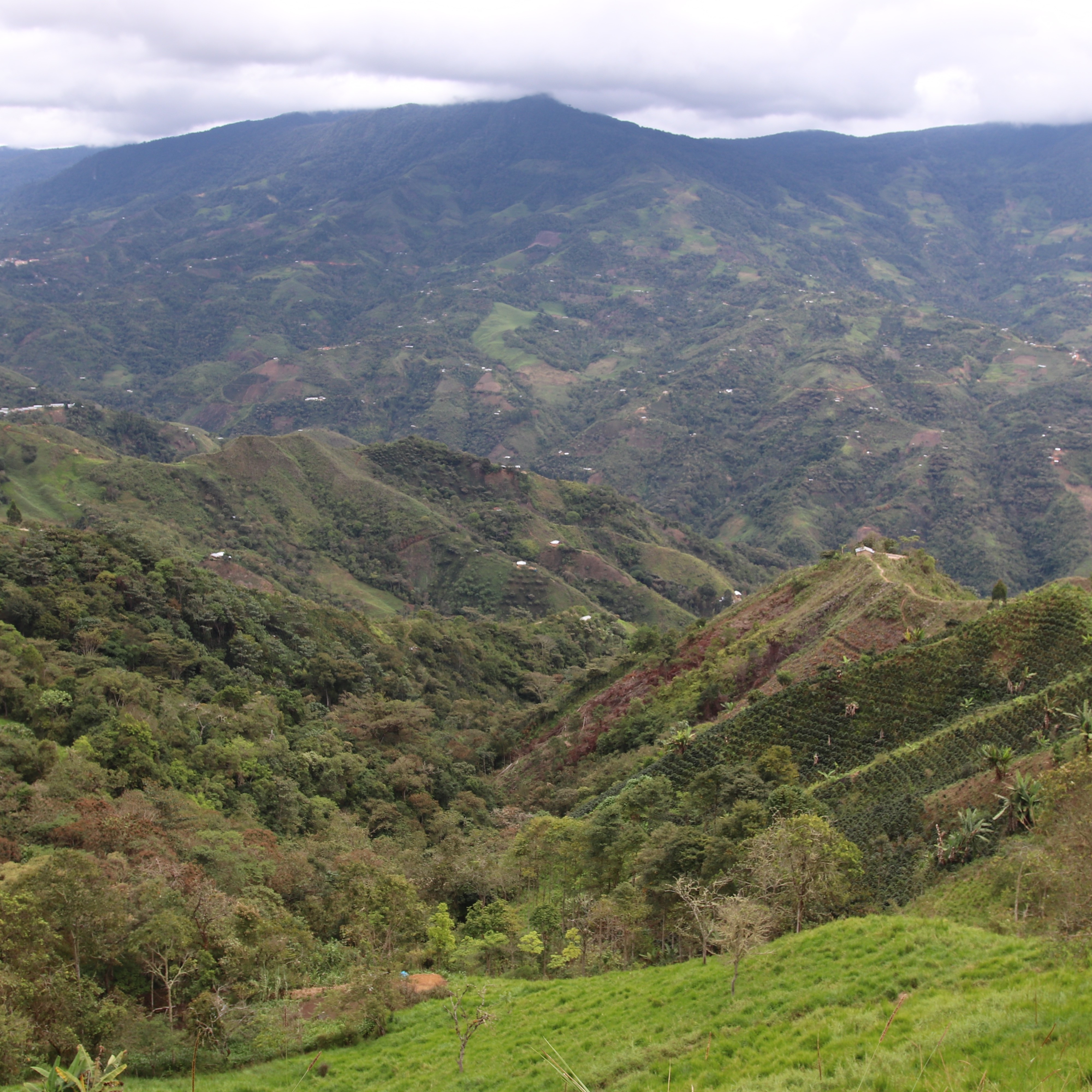 Peru El Paraiso