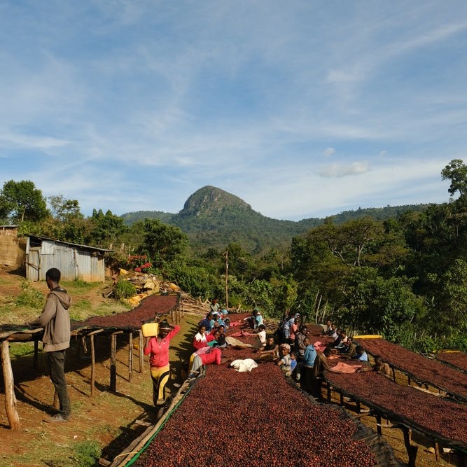 Etiopie Uraga